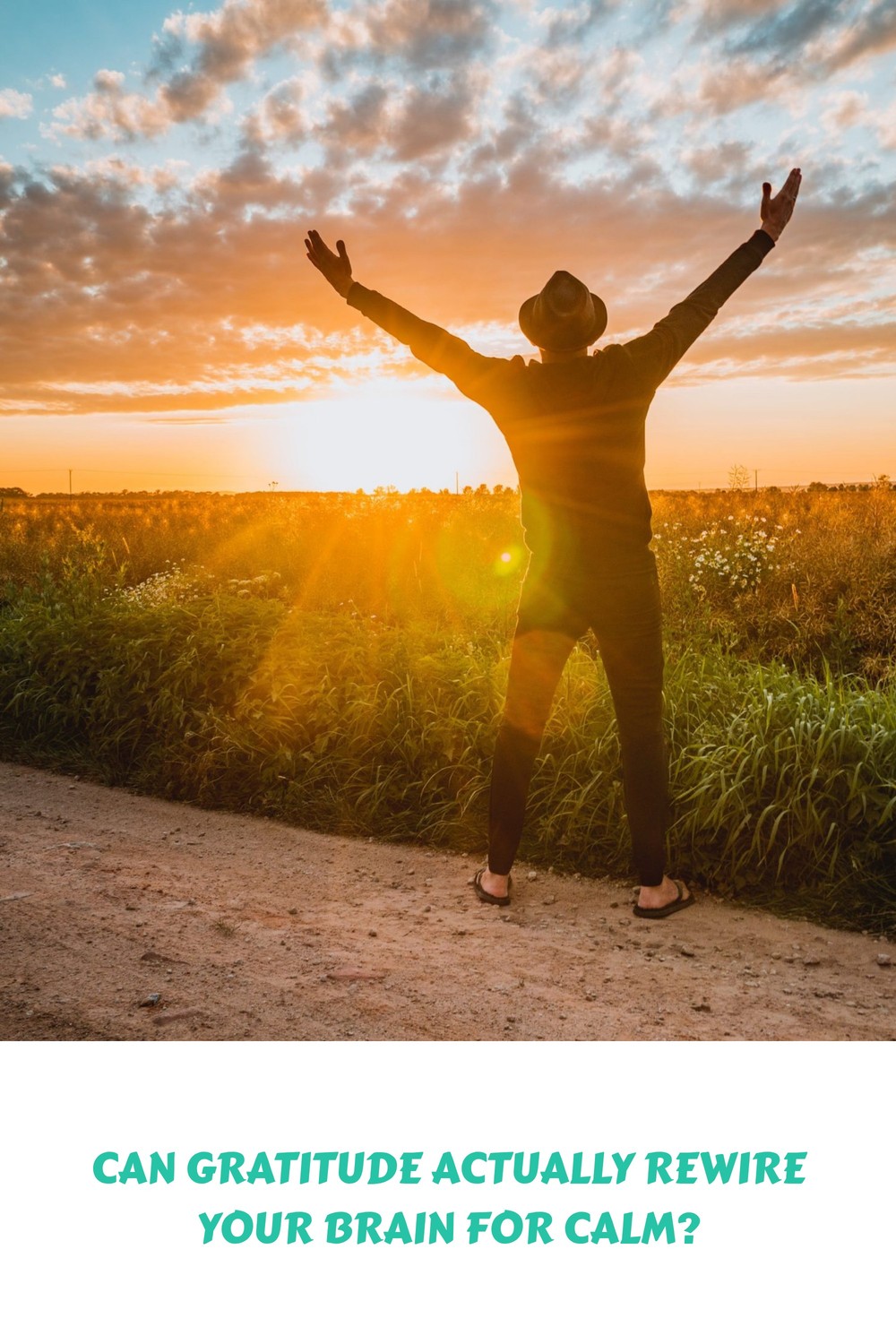 Can gratitude actually rewire your brain for calm? 2 Can gratitude actually rewire your brain for calm? 1